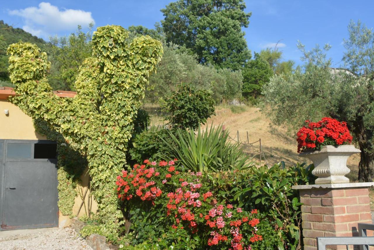 Villa Mischianti Gubbio Eksteriør billede