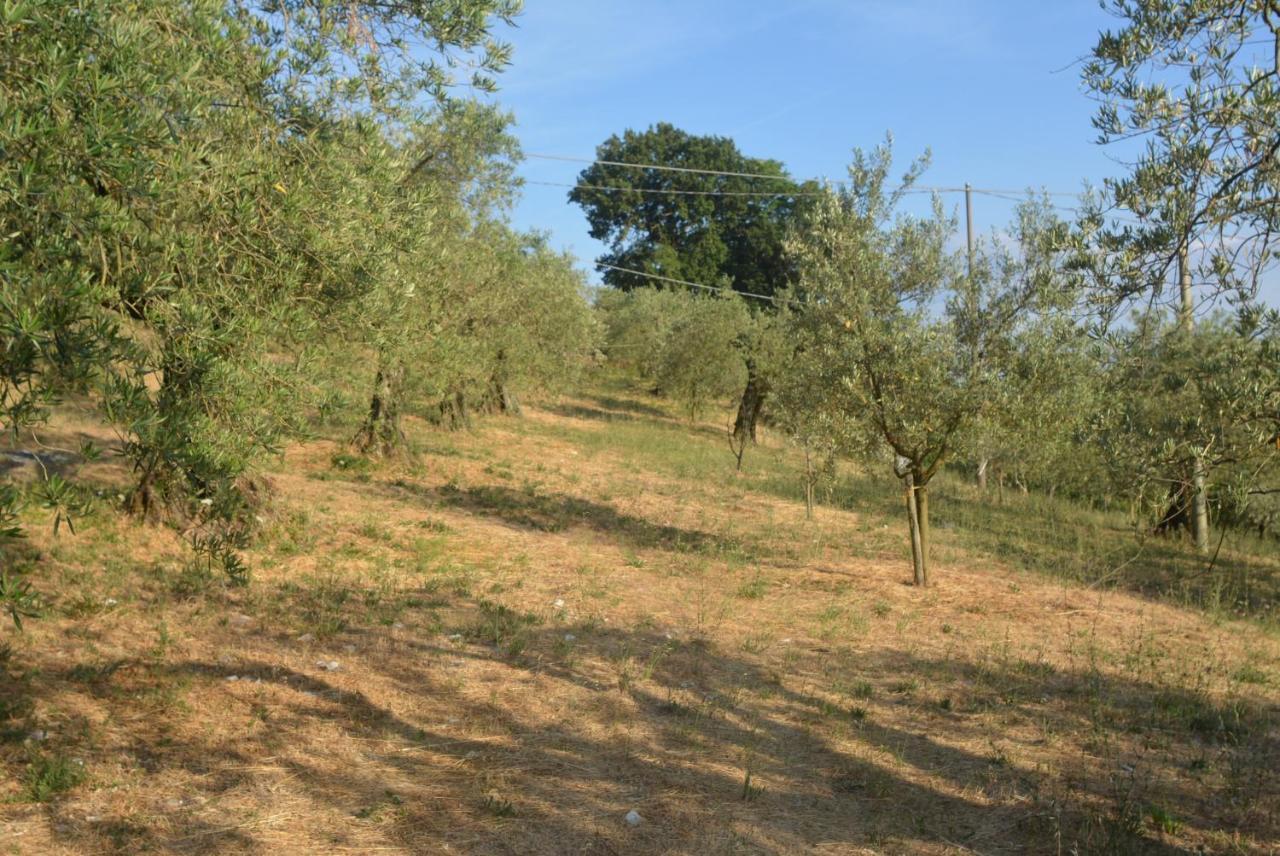 Villa Mischianti Gubbio Eksteriør billede