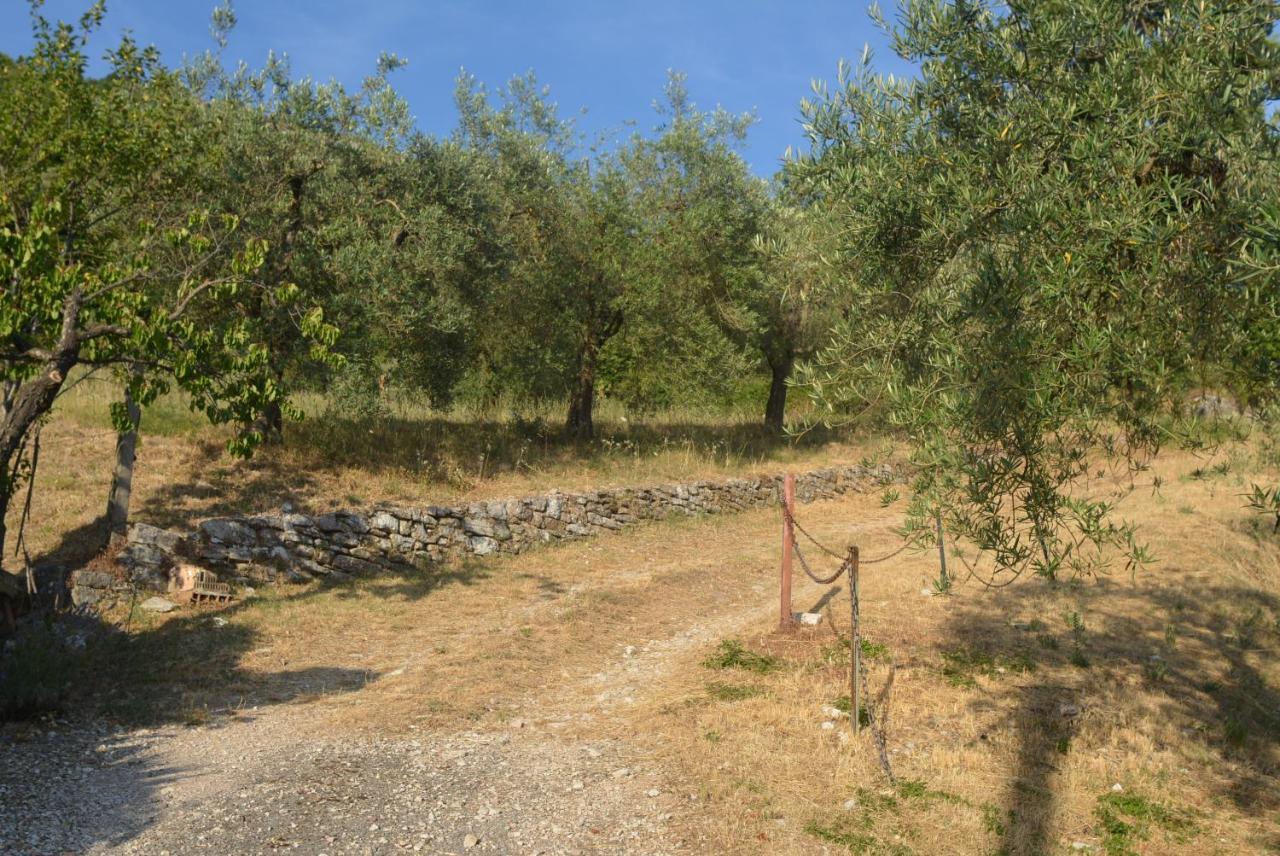 Villa Mischianti Gubbio Eksteriør billede